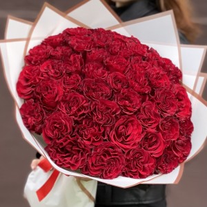 51 красная пионовидная роза Хартс